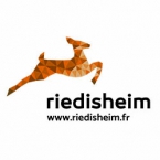 lesLogotypes.indd riedisheim