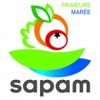 SAPAM_Quad_HD SAPAM_Quad_HD