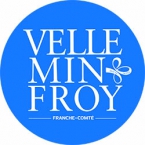 logo_velleminfroy_pantone285 logo_velleminfroy_pantone285